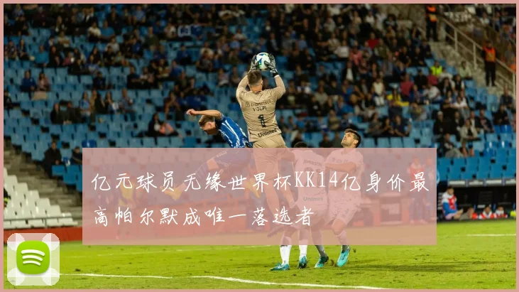 亿元球员无缘世界杯KK14亿身价最高帕尔默成唯一落选者